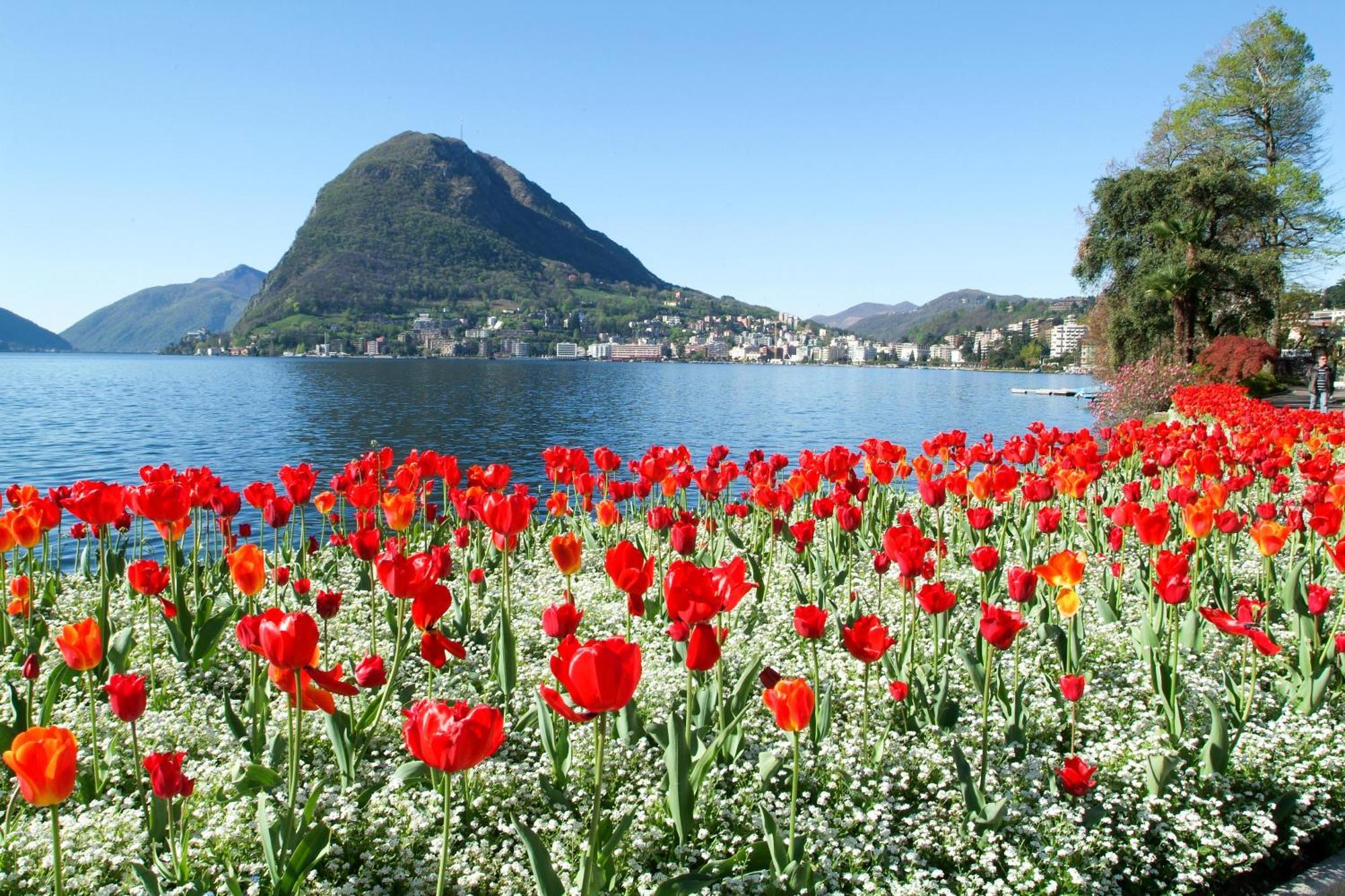 Ferienhaus In Lugano - Happy Rentals Exteriör bild
